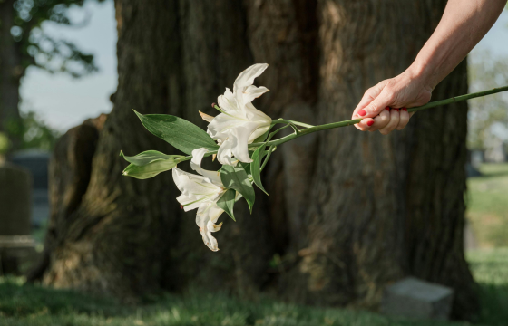 The Role of Therapy in Overcoming Grief