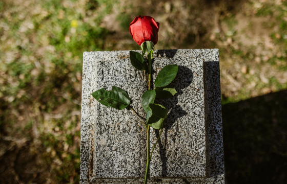 What Are the Stages of Grief? A Guide to Coping with Loss