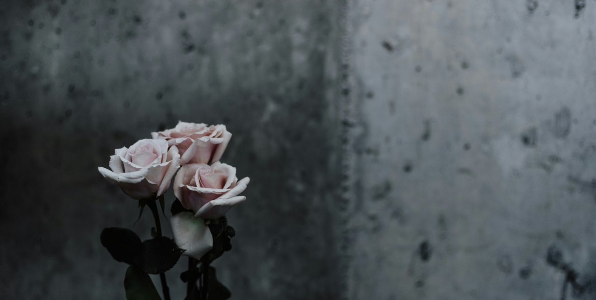 Understanding Anticipatory Grief: How to Cope Before a Loss Happens