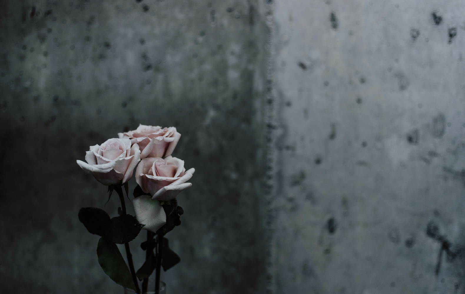 Understanding Anticipatory Grief: How to Cope Before a Loss Happens